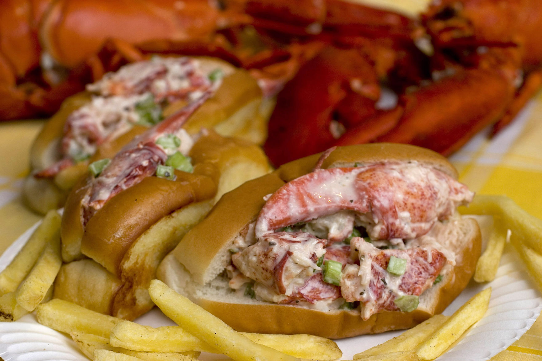 Maine: Cold lobster roll
